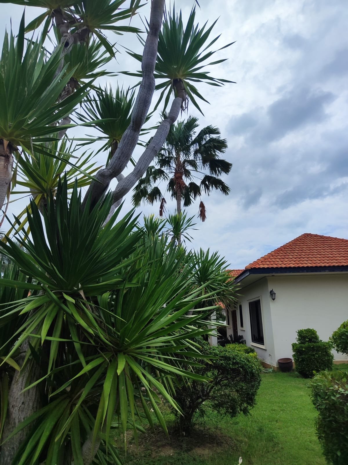 Villa Garden Trees