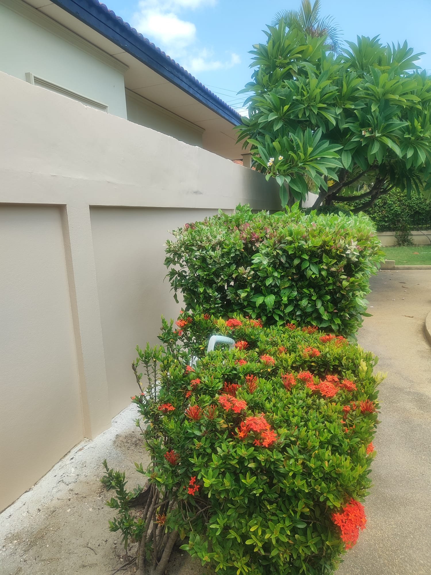 Villa Side Wall and Shrubbery