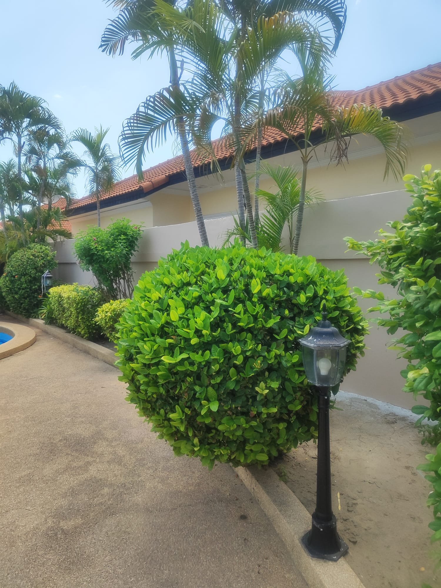 Villa Garden Wall